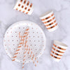 Rose Gold Dots Large Plate - Pack of 10